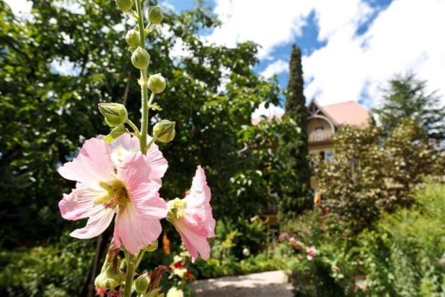 בית מלון כפרי Angelica