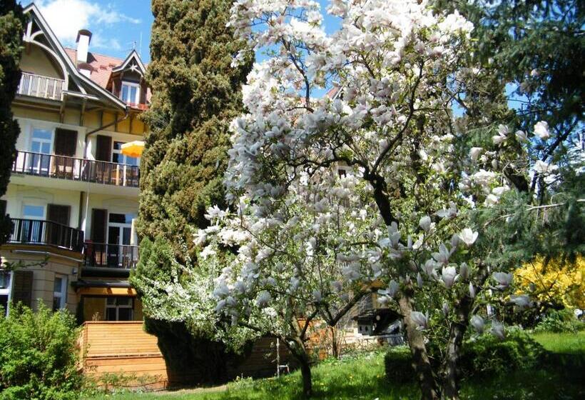 בית מלון כפרי Angelica