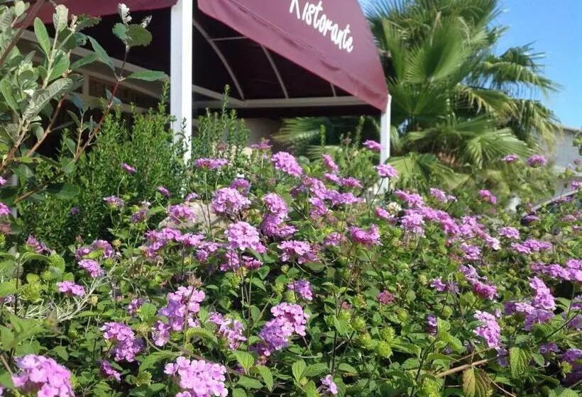 Hotelli La Rosa Dei Venti