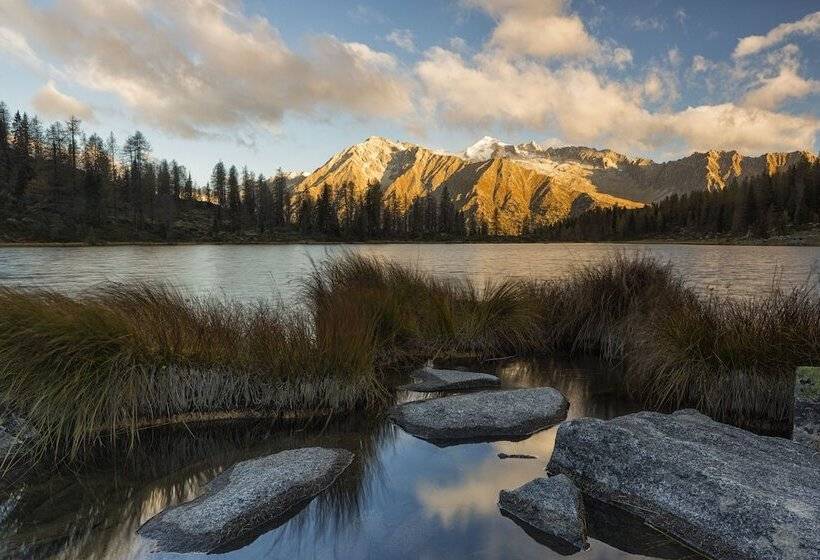 Hotel Olympic Regina