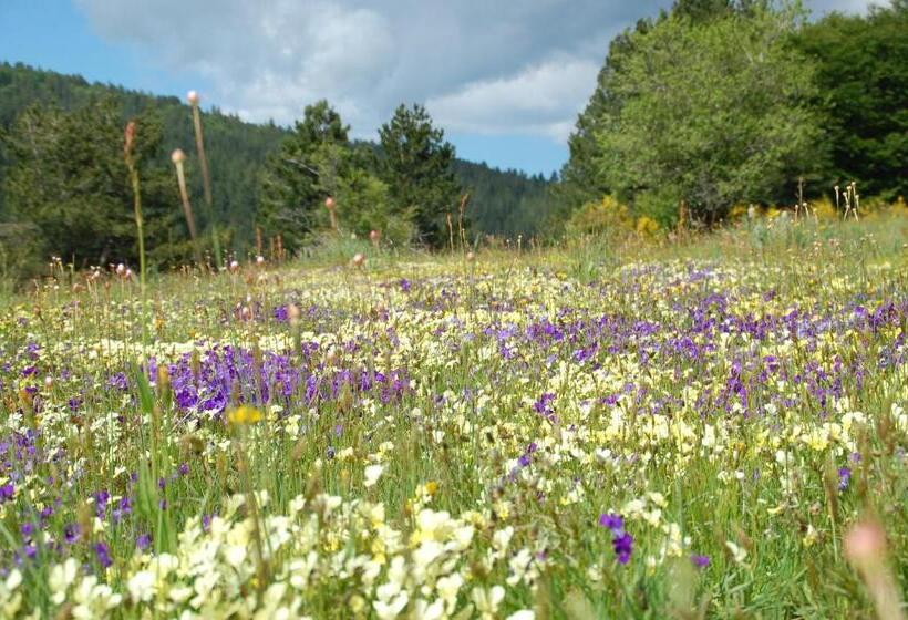 ホテル Rifugio Casello Margherita