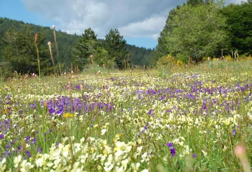 Hotelli Rifugio Casello Margherita