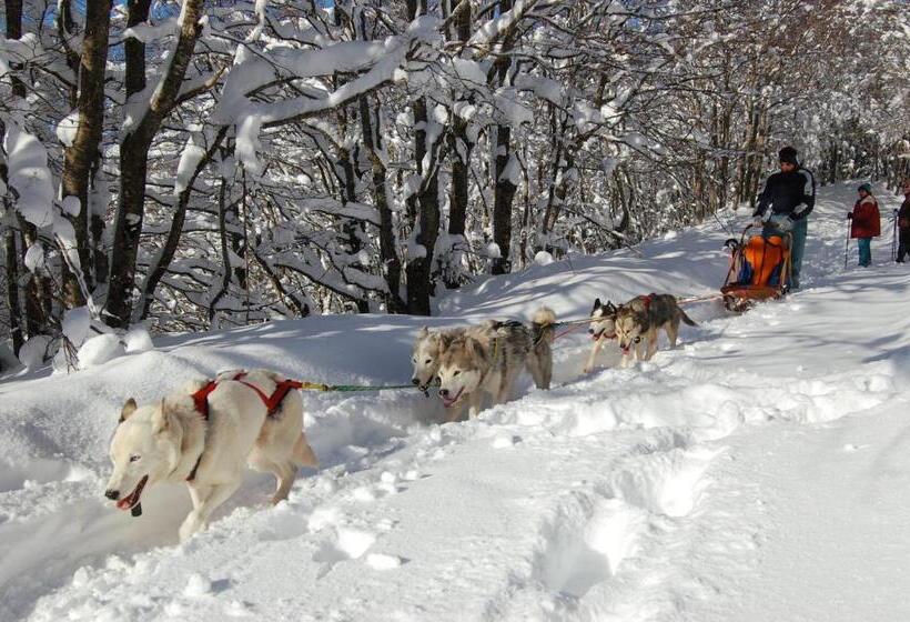 ホテル Rifugio Casello Margherita