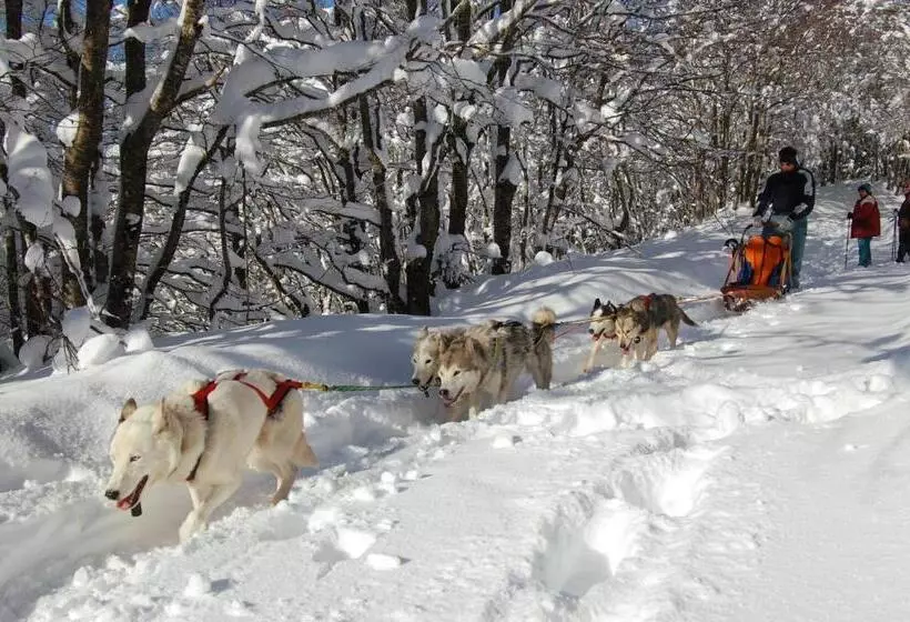 Hotelli Rifugio Casello Margherita