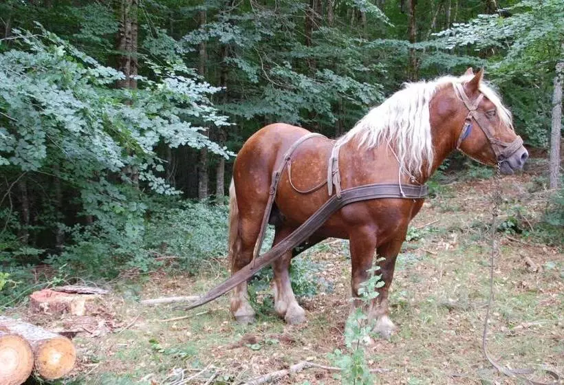 Hotelli Rifugio Casello Margherita