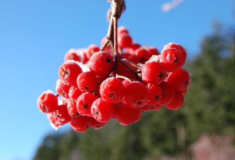 ホテル Rifugio Casello Margherita