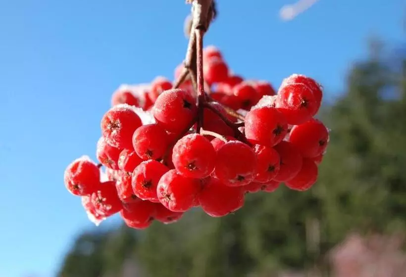 Hotelli Rifugio Casello Margherita