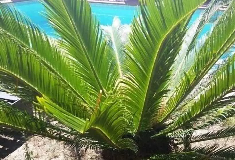 B&b Ethnohotel Rosa Dei Venti