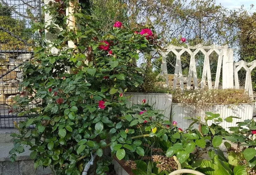 B&b Ethnohotel Rosa Dei Venti