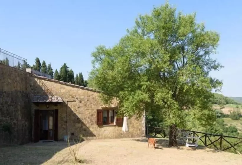 ベッドアンドブレックファースト Camere E Appartamenti Baldini Romanita