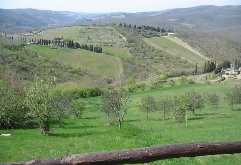 ベッドアンドブレックファースト Camere E Appartamenti Baldini Romanita