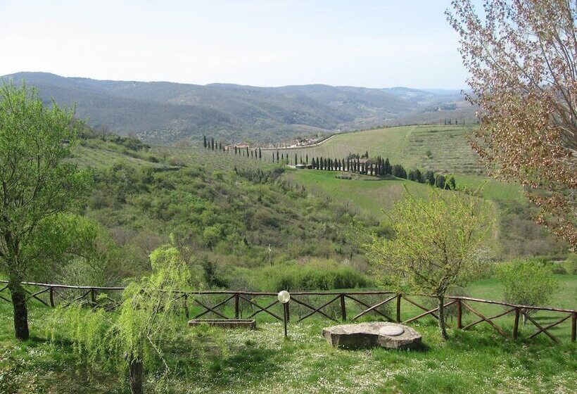 مبيت وإفطار Camere E Appartamenti Baldini Romanita