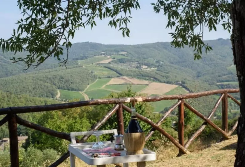 ベッドアンドブレックファースト Camere E Appartamenti Baldini Romanita