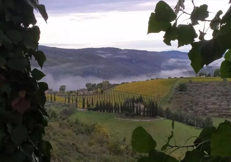 ベッドアンドブレックファースト Camere E Appartamenti Baldini Romanita