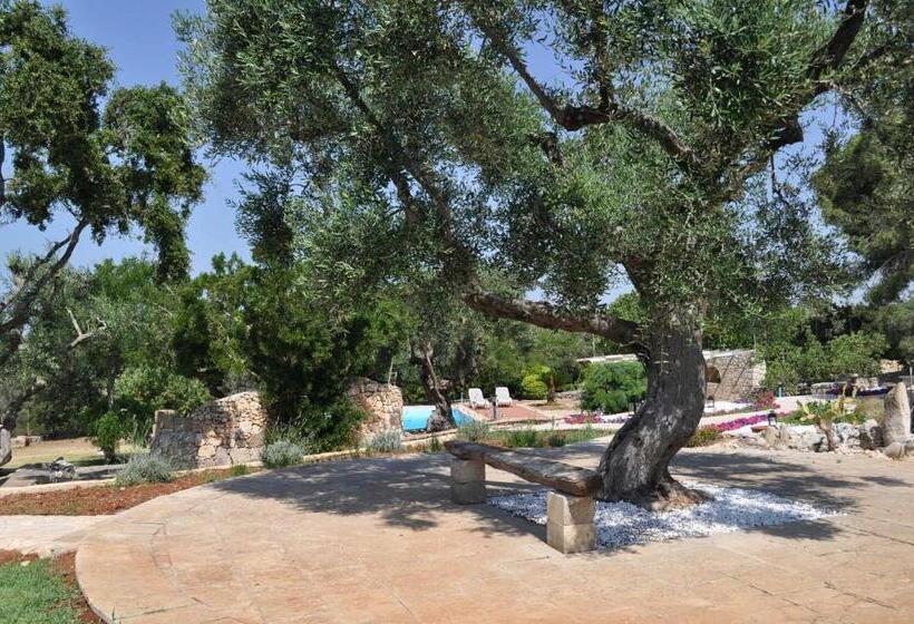 مبيت وإفطار Contrada Borgin