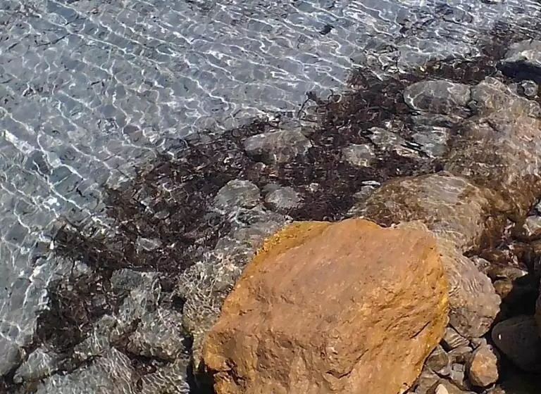 ベッドアンドブレックファースト Domos Le Due Tuie