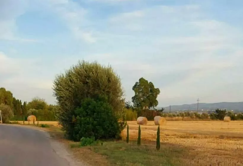 Aamiaismajoitus (B&B) Il Cantuccio