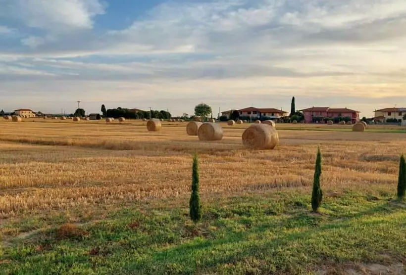 Aamiaismajoitus (B&B) Il Cantuccio