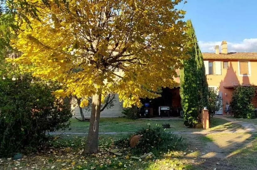 Aamiaismajoitus (B&B) Il Cantuccio