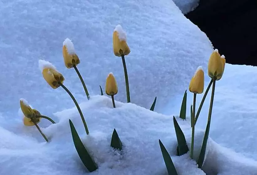 Aamiaismajoitus (B&B) La Roche Meane
