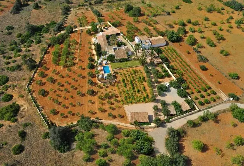 ベッドアンドブレックファースト Monte Das Cortelhas