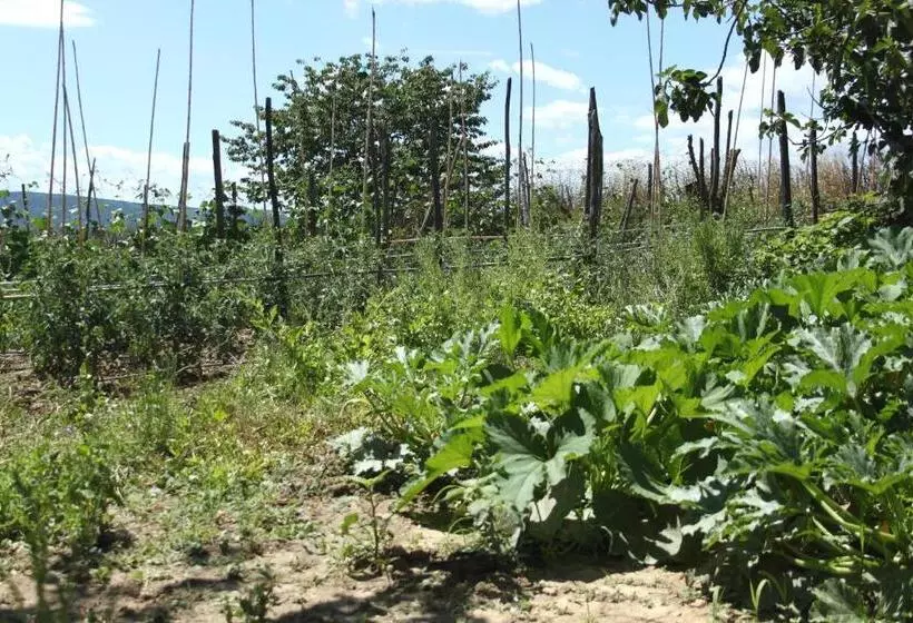 Aamiaismajoitus (B&B) Tenuta La Santissima