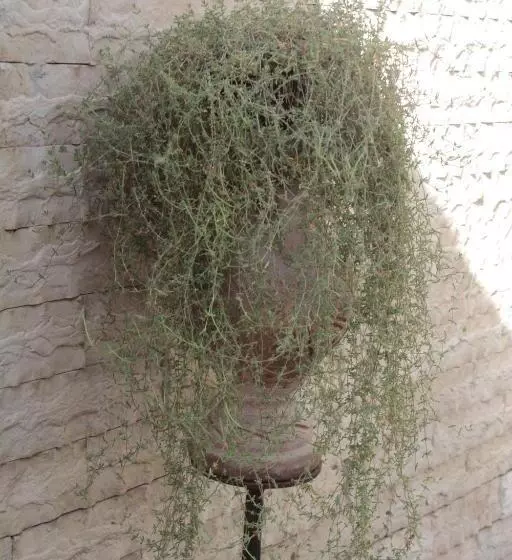 Aamiaismajoitus (B&B) Villa Axa