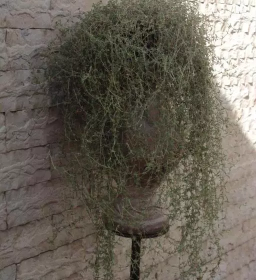 Aamiaismajoitus (B&B) Villa Axa