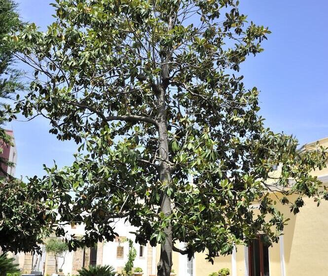 مبيت وإفطار Villa Stajano