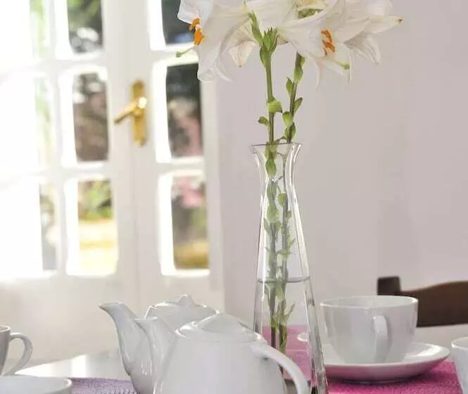 Aamiaismajoitus (B&B) Villa Stajano