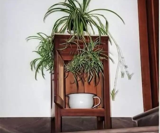 Casa Vacanze   B&b Il Tempone