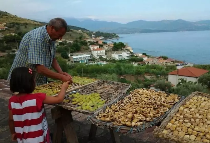 Casa Vacanze   B&b Il Tempone