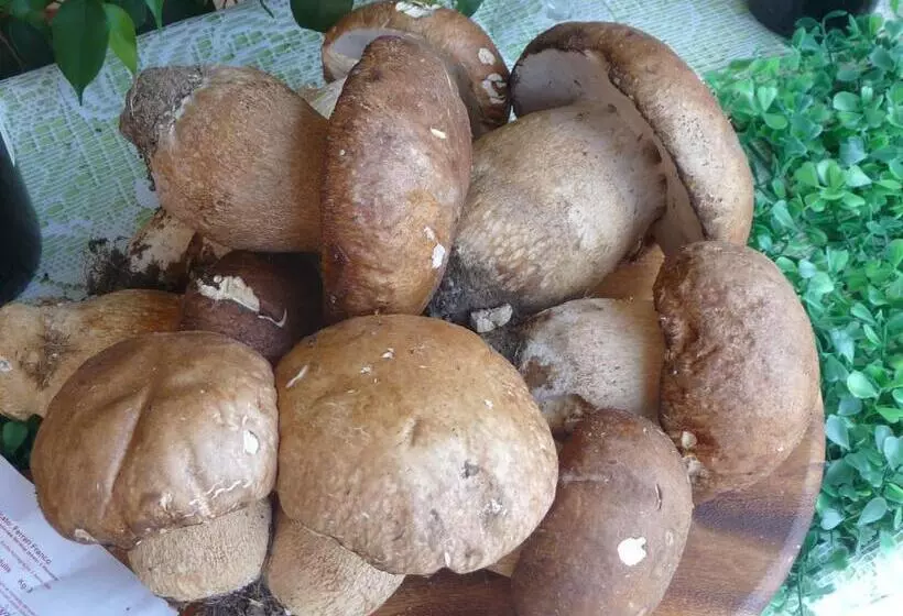 Hotelli Albergo Ristorante Corsini