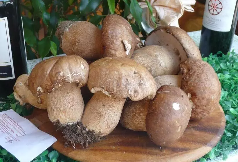 Hotelli Albergo Ristorante Corsini