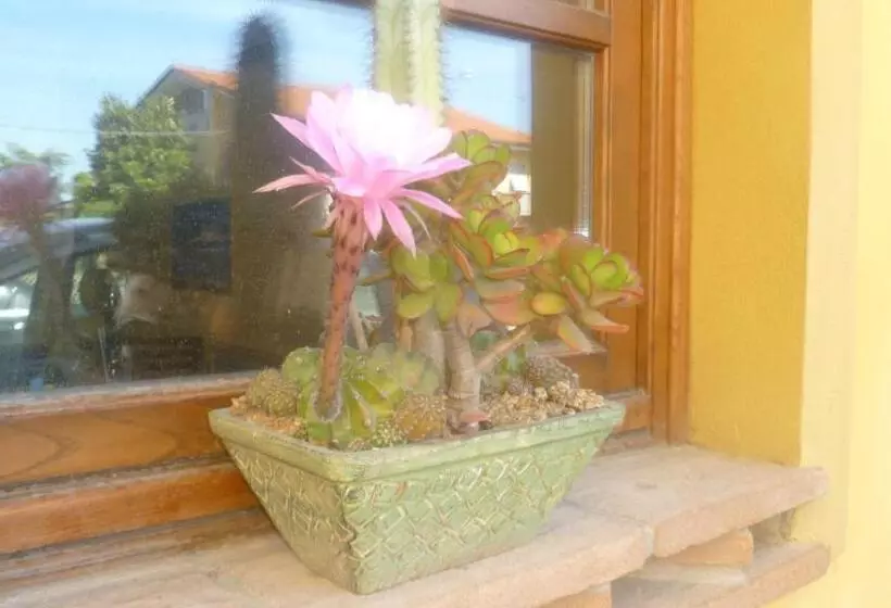 Le Ginestre B & B