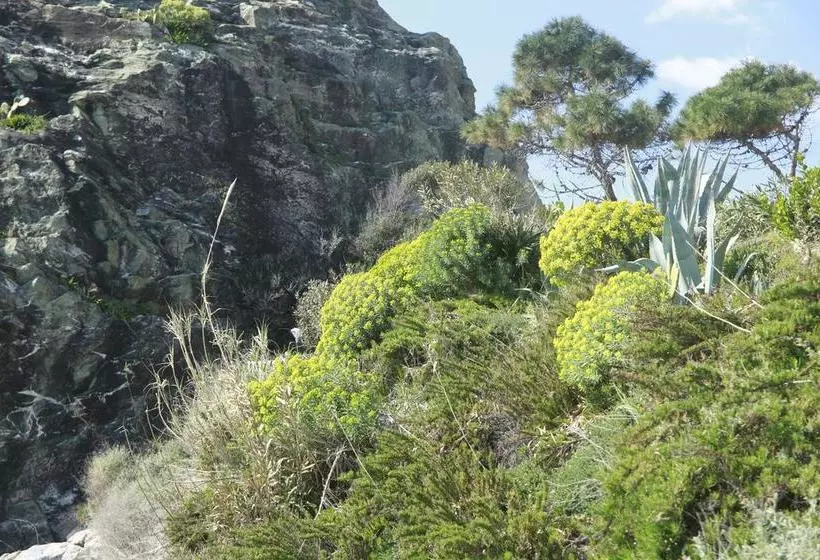 Ideale Appartamento In Residence Sul Mare Vigoresort