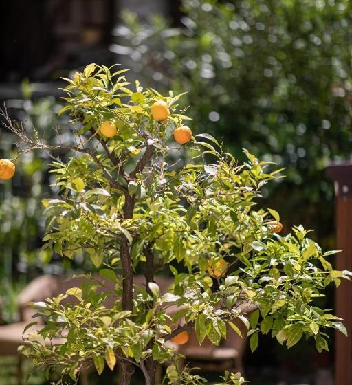 Bed and Breakfast Agriturismo Borgo Di Calmasino