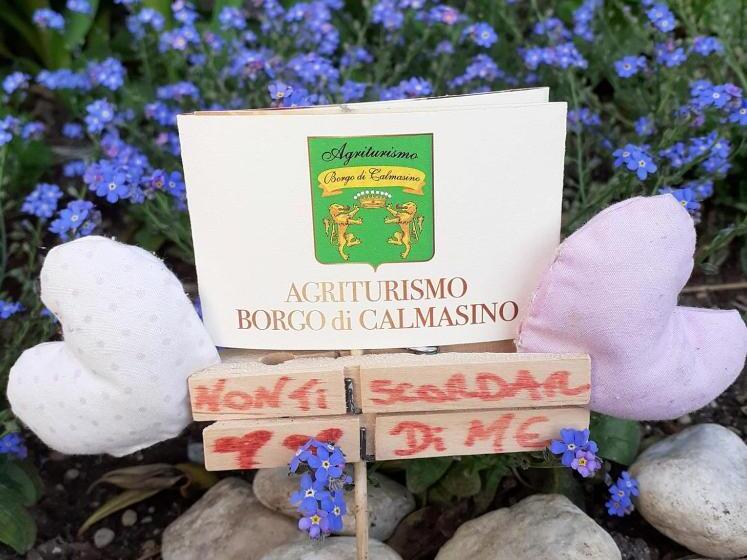 Bed and Breakfast Agriturismo Borgo Di Calmasino