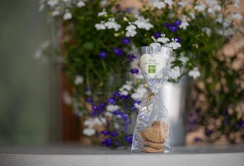 Bed and Breakfast Agriturismo Borgo Di Calmasino