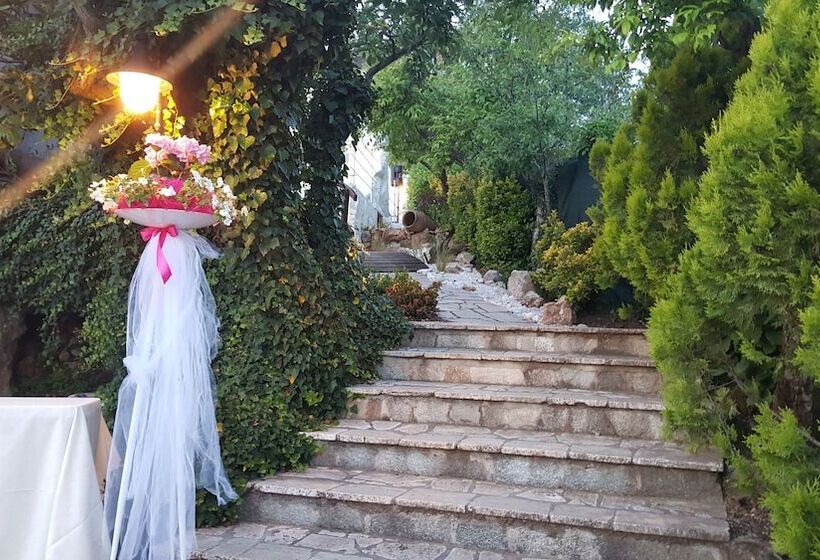 Albergo B&b Antica Trattoria Bacco