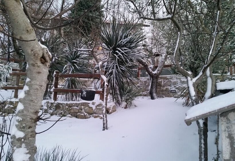 Albergo B&b Antica Trattoria Bacco