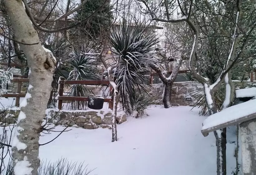 Albergo B&b Antica Trattoria Bacco