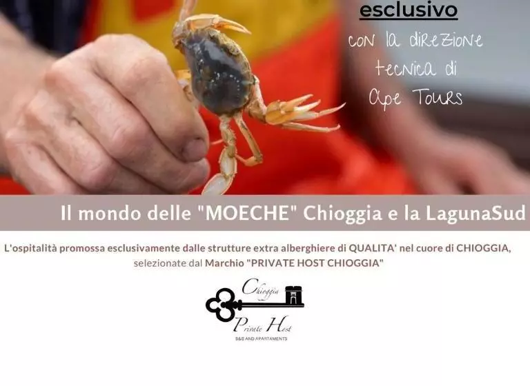 ベッドアンドブレックファースト Casa Di Carlo Goldoni   Dimora Storica