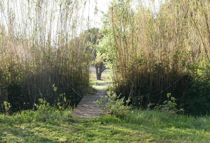 مبيت وإفطار Leï Souco