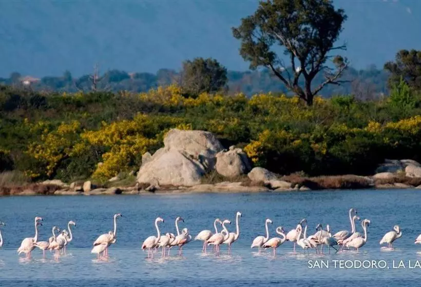 تختخواب و صبحانه Li Teggi Turismo Rurale