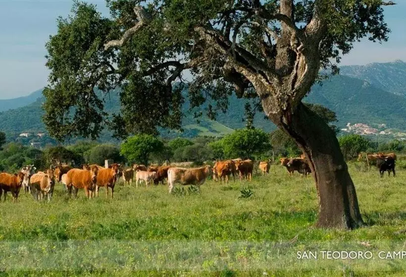 تختخواب و صبحانه Li Teggi Turismo Rurale