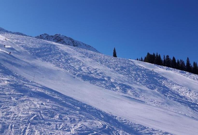 Hotelli Alpengasthof Löwen