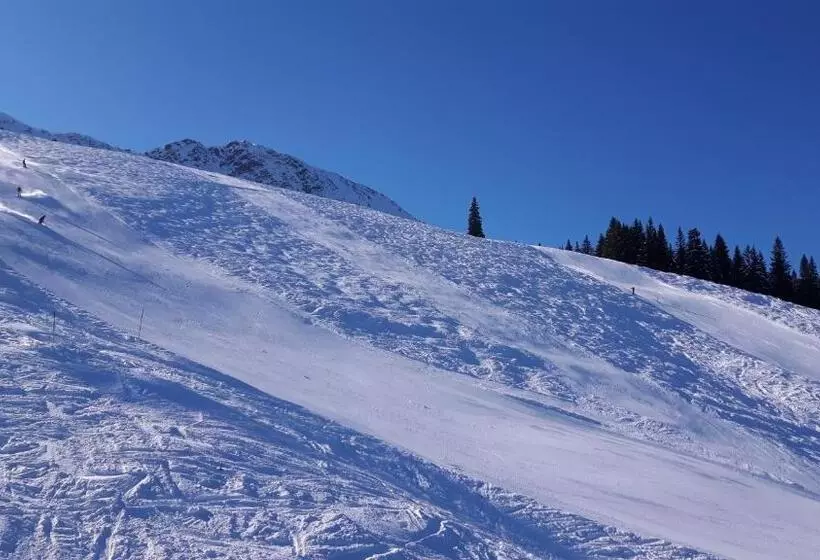 Hotelli Alpengasthof Löwen
