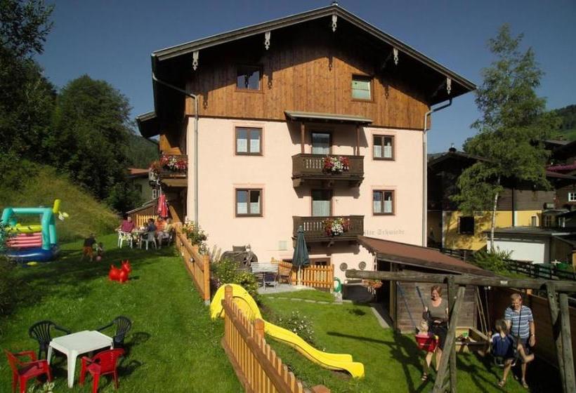 ホテル Alte Schmiede   Das Kleine