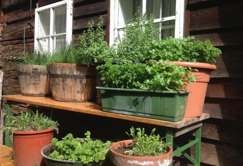 ホテル Alte Schmiede   Das Kleine